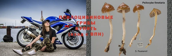дурь Нефтекумск