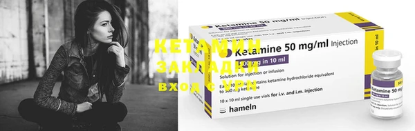 шишки Надым