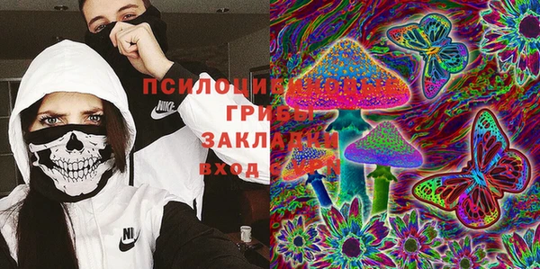 дурь Нефтекумск