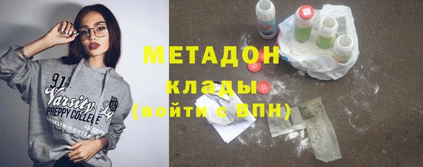 шишки Надым